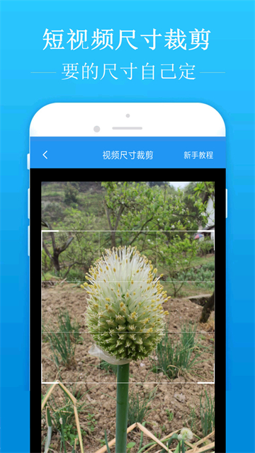 应用截图
