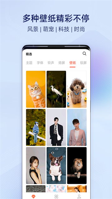 应用截图