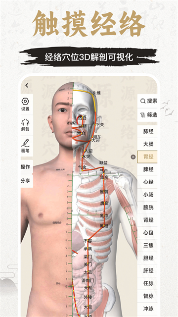 知源经络穴位应用截图第一张